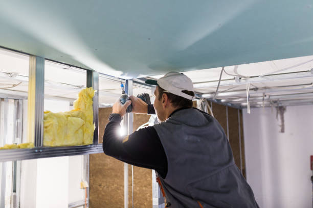 Best Insulation Installation Services in Inglis, FL